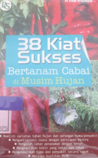 38 Kiat Sukses Bertanam Cabai di Musim Hujan