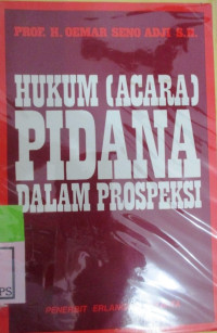 HUKUM ACARA PIDANA DALAM PROSPEKSI